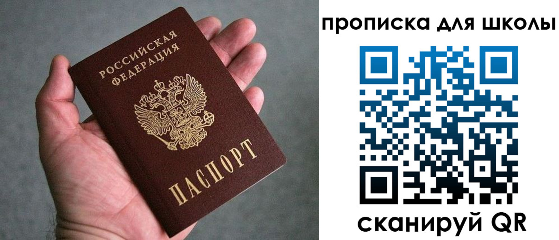 прописка для школы в Сертолово